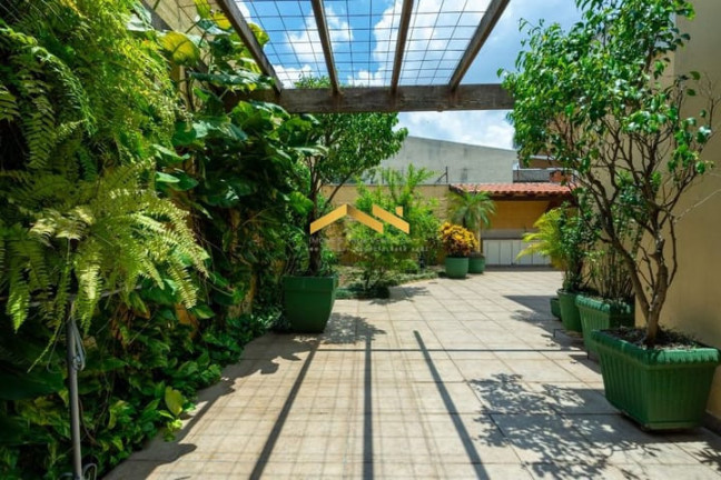 Imagem Casa com 4 Quartos à Venda, 375 m² em Moema - São Paulo