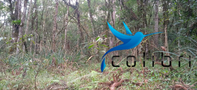 Imagem Chácara com 1 Quarto à Venda, 89.620 m² em Pedra Branca - Agudos Do Sul