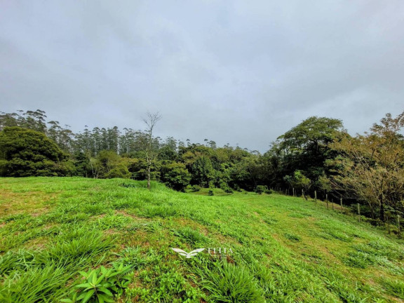 Imagem Chácara à Venda, 24.900 m² em Três Rios Do Norte - Jaraguá Do Sul