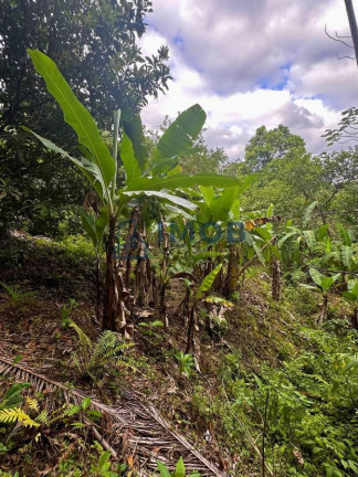 Imagem Chácara à Venda, 92.575 m² em Três Rios Do Norte - Jaraguá Do Sul Imagem Chácara à Venda, 92.575 m² em Três Rios Do Norte - Jaraguá Do Sul