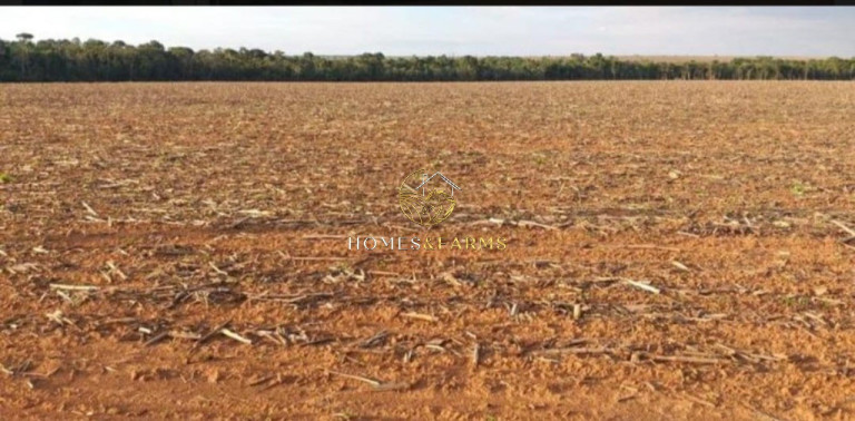 Imagem Imóvel com 3 Quartos à Venda, 39.000 m² em Zona Rural - Confresa Imagem Imóvel com 3 Quartos à Venda, 39.000 m² em Zona Rural - Confresa