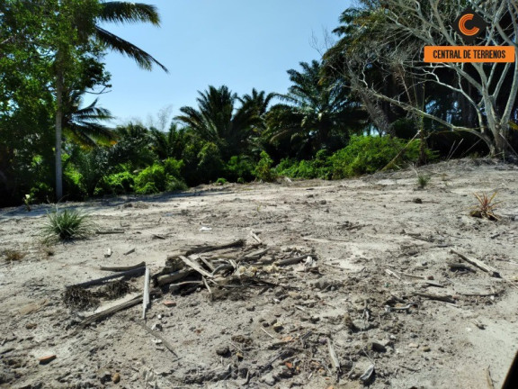 Imagem Terreno à Venda, 20.000 m² em Caji - Lauro De Freitas Imagem Terreno à Venda, 20.000 m² em Caji - Lauro De Freitas