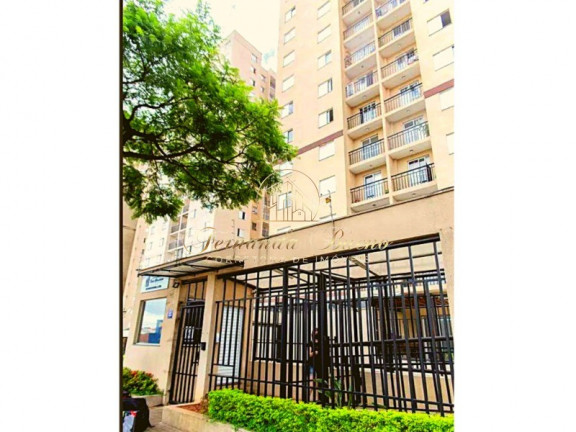 Imagem Imóvel com 3 Quartos à Venda, 60 m² em Parque Erasmo Assunção - Santo André Imagem Imóvel com 3 Quartos à Venda, 60 m² em Parque Erasmo Assunção - Santo André