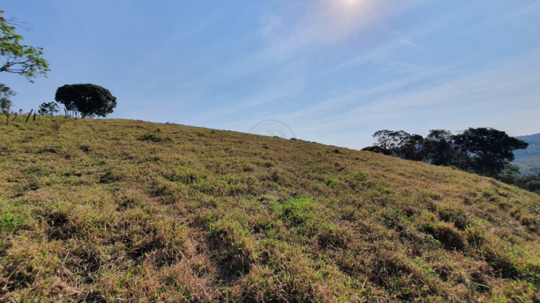 Imagem Chácara à Venda, 244.643 m² em Pouso Frio - São José Dos Campos Imagem Chácara à Venda, 244.643 m² em Pouso Frio - São José Dos Campos