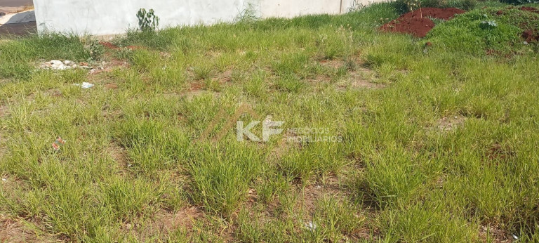 Imagem Terreno à Venda, 266 m² em Centro - Cravinhos Imagem Terreno à Venda, 266 m² em Centro - Cravinhos