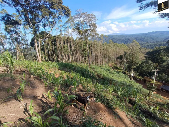Imagem Imóvel com 2 Quartos à Venda, 182.000 m² em Zona Rural - Tunas Do Parana Imagem Imóvel com 2 Quartos à Venda, 182.000 m² em Zona Rural - Tunas Do Parana