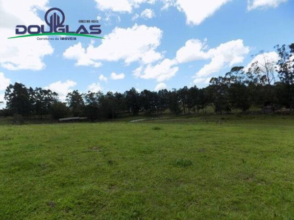 Imagem Chácara com 2 Quartos à Venda, 190.000 m² em Viamão Imagem Chácara com 2 Quartos à Venda, 190.000 m² em Viamão