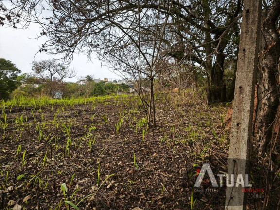 Imagem Terreno à Venda, 353 m² em Jundiaizinho (terra Preta) - Mairiporã