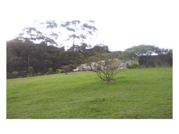 Imagem Chácara com 4 Quartos à Venda, 480 m² em Mantiqueira - Mairiporã Imagem Chácara com 4 Quartos à Venda, 480 m² em Mantiqueira - Mairiporã