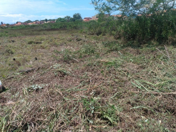 Imagem Terreno à Venda, 250 m² em Estância Balneária Tupy - Itanhaém Imagem Terreno à Venda, 250 m² em Estância Balneária Tupy - Itanhaém