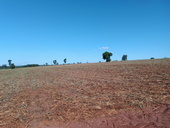 Imagem Chácara à Venda, 29 m² em Rural - Avaré Imagem Chácara à Venda, 29 m² em Rural - Avaré