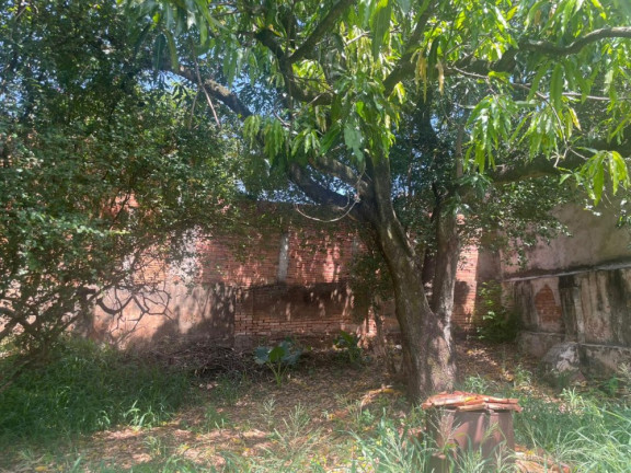 Imovel