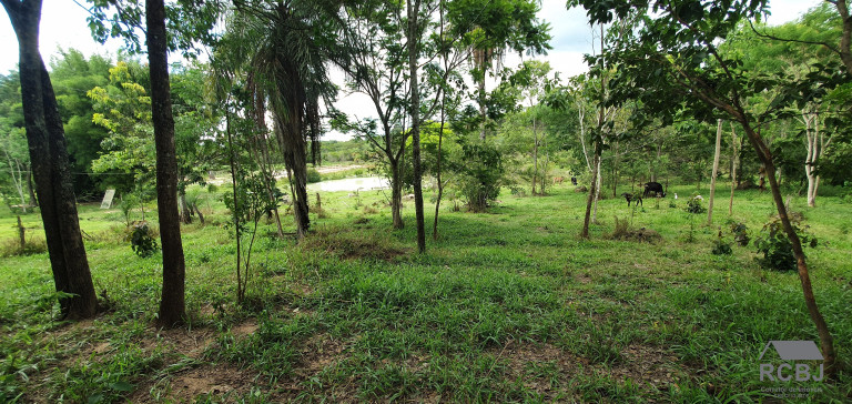 Terreno à Venda, 4.000 m² em Cidade Jardim - Esmeraldas