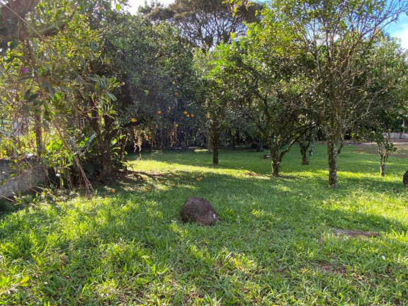 Imagem Imóvel com 1 Quarto à Venda, 1.650 m² em Mundo Novo - Maquine