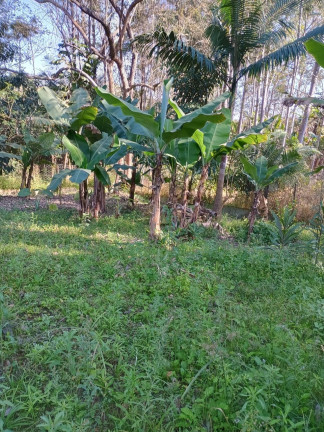 Imagem Chácara com 3 Quartos à Venda, 300 m² em Varjao - Paraibuna Imagem Chácara com 3 Quartos à Venda, 300 m² em Varjao - Paraibuna