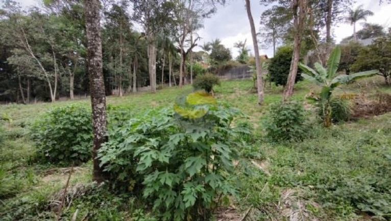 Imagem Terreno à Venda, 1.000 m² em Jardim Colibri - Cotia Imagem Terreno à Venda, 1.000 m² em Jardim Colibri - Cotia
