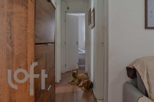 Imagem Apartamento com 3 Quartos à Venda, 62 m² em Bom Retiro - São Paulo