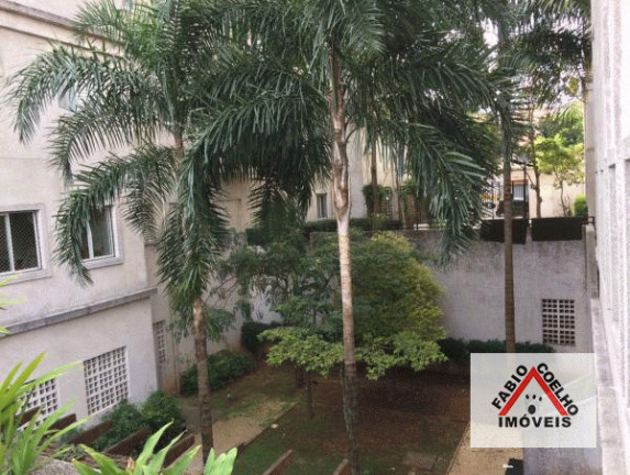 Imagem Apartamento com 3 Quartos à Venda, 74 m² em Jardim Aeroporto - São Paulo
