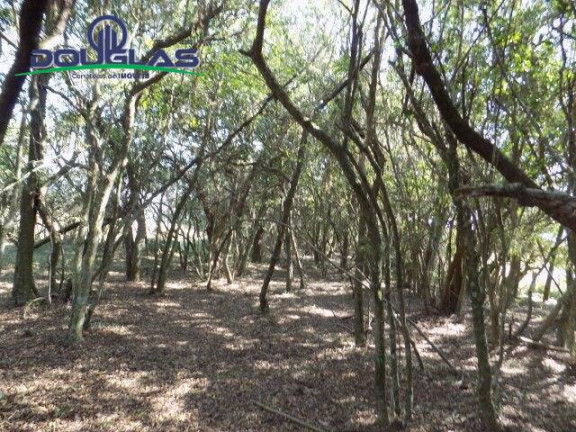 Imagem Chácara à Venda, 20.000 m² em águas Claras - Viamão Imagem Chácara à Venda, 20.000 m² em águas Claras - Viamão