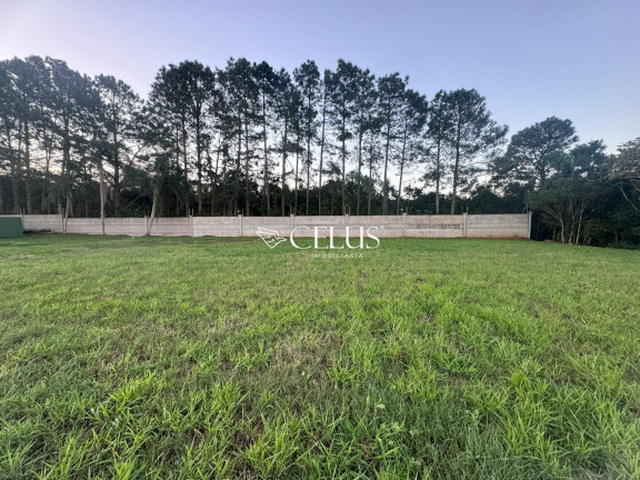 Terreno à Venda, 420 m² em Engenho Velho - Torres