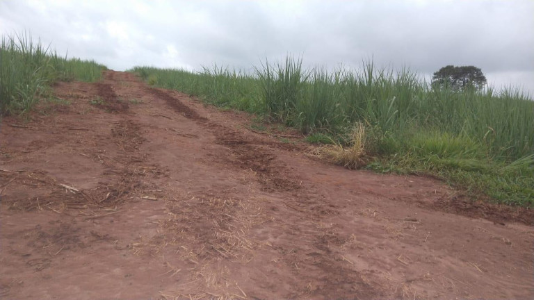 Imagem Fazenda à Venda, 42 m² em Rural - Avaré Imagem Fazenda à Venda, 42 m² em Rural - Avaré