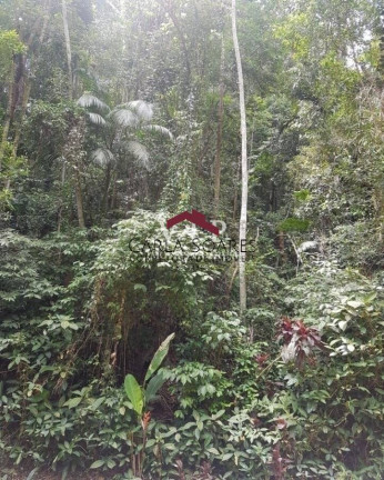 Imagem Terreno à Venda, 2.000 m² em Balneario Praia Do Perequê - Guarujá Imagem Terreno à Venda, 2.000 m² em Balneario Praia Do Perequê - Guarujá