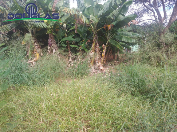 Imagem Terreno à Venda, 900 m² em Viamão Imagem Terreno à Venda, 900 m² em Viamão