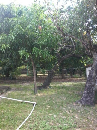 Imagem Imóvel com 4 Quartos à Venda, 4.200 m² em Cágado - Maracanaú