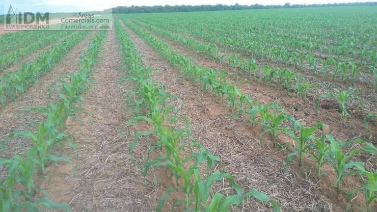 Imagem Chácara à Venda, 390.000.000 m² em Rural - Santa Terezinha Imagem Chácara à Venda, 390.000.000 m² em Rural - Santa Terezinha