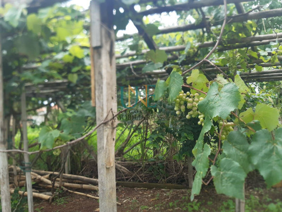Imagem Casa com 3 Quartos à Venda, 1.100 m² em Recanto Dos Dourados - Campinas
