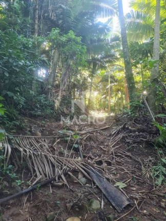 Imagem Chácara à Venda, em área Rural De Jaraguá Do Sul - Jaraguá Do Sul Imagem Chácara à Venda, em área Rural De Jaraguá Do Sul - Jaraguá Do Sul
