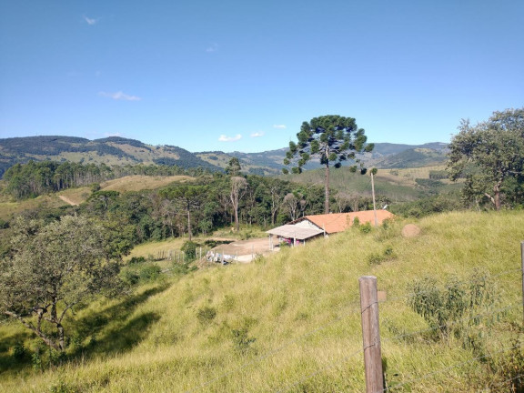 Imagem Chácara à Venda, 1.000 m² em Pocinhos Do Rio Verde - Caldas Imagem Chácara à Venda, 1.000 m² em Pocinhos Do Rio Verde - Caldas