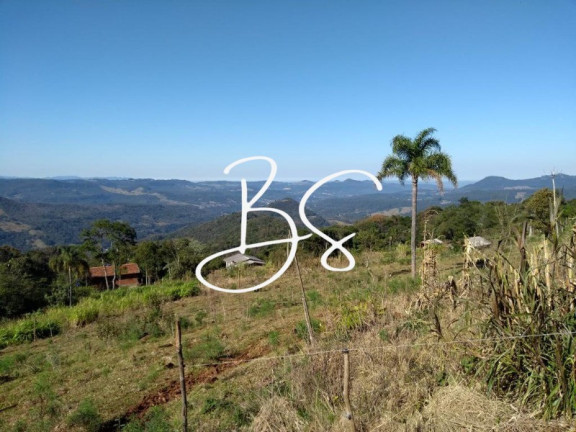Imagem Terreno à Venda, 30.000 m² em Linha Carahá - Gramado