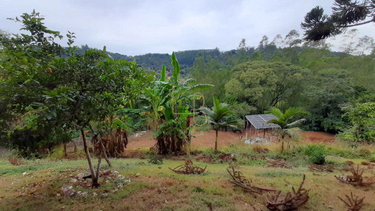 Imagem Chácara com 2 Quartos à Venda, 17.242 m² em Chácaras São Miguel - Londrina