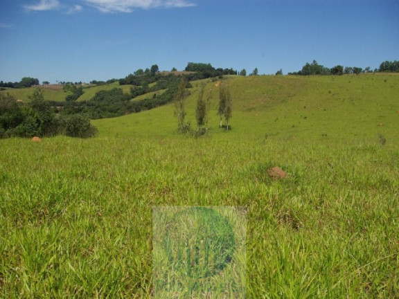 Imagem Imóvel com 3 Quartos à Venda, 220.000 m² em Zona Rural - Jacui