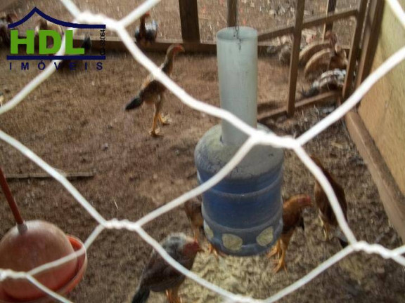 Imagem Chácara com 10 Quartos à Venda, 7 m² em Zona Rural - Hidrolândia