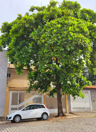 Imagem Casa com 3 Quartos à Venda, 180 m² em Vila Carioca - São Paulo