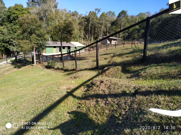 Imagem Imóvel com 3 Quartos à Venda, 16.200 m² em Zona Rural - Quatro Barras