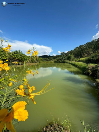 Imagem Chácara com 6 Quartos à Venda, 55.000 m² em Belo Oriente