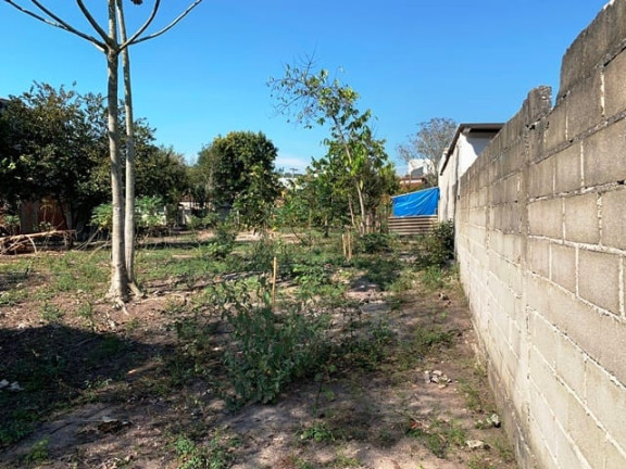 Imagem Terreno à Venda, 1.860 m² em Crispim - Pindamonhangaba