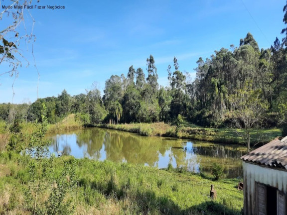 Imagem Terreno à Venda, 1 m² em Br 116 - Nova Petrópolis Imagem Terreno à Venda, 1 m² em Br 116 - Nova Petrópolis