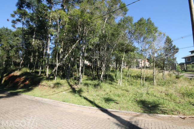 Imagem Terreno à Venda, 700 m² em Avenida Central - Gramado Imagem Terreno à Venda, 700 m² em Avenida Central - Gramado
