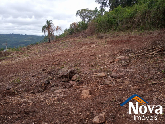 Imagem Imóvel à Venda, em Pinhal Alto - Nova Petrópolis Imagem Imóvel à Venda, em Pinhal Alto - Nova Petrópolis
