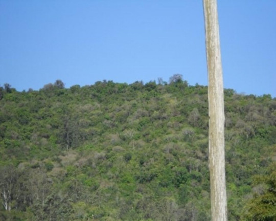 Imagem Terreno à Venda, 7 m² em Linha Temerária - Nova Petrópolis Imagem Terreno à Venda, 7 m² em Linha Temerária - Nova Petrópolis