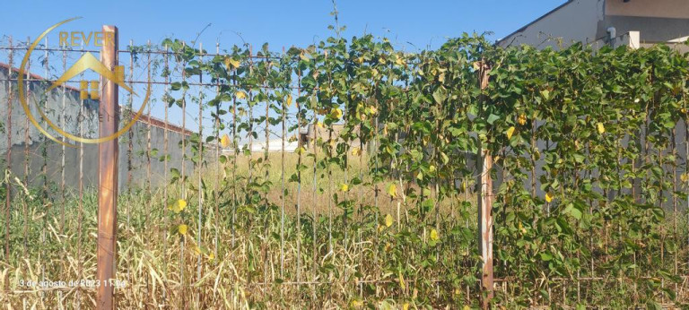 Terreno à Venda, 300 m² em Vila João Jorge - Campinas