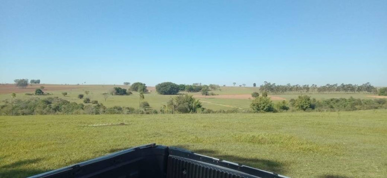 Imagem Fazenda à Venda, 726 m² em Vila Tazitsu - Presidente Prudente Imagem Fazenda à Venda, 726 m² em Vila Tazitsu - Presidente Prudente