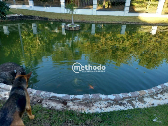 Imagem Chácara com 3 Quartos à Venda, 398 m² em Jardim Das Gaivotas - Indaiatuba Imagem Chácara com 3 Quartos à Venda, 398 m² em Jardim Das Gaivotas - Indaiatuba