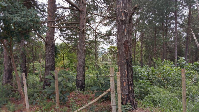 Imagem Terreno em Condomínio à Venda, 15.070 m² em Estoril - Nova Lima