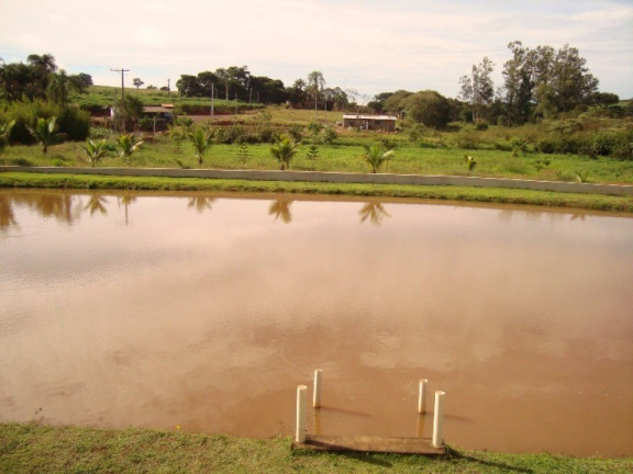 Imagem Imóvel com 4 Quartos à Venda, 700 m² em Bairro Dos Frades - Limeira
