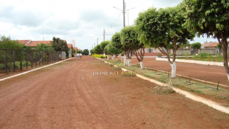 Imagem Imóvel com 4 Quartos à Venda, 103.000 m² em Zona Rural - Porto Alegre Do Norte Imagem Imóvel com 4 Quartos à Venda, 103.000 m² em Zona Rural - Porto Alegre Do Norte